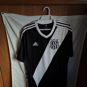 Ponte Preta (Brasil)