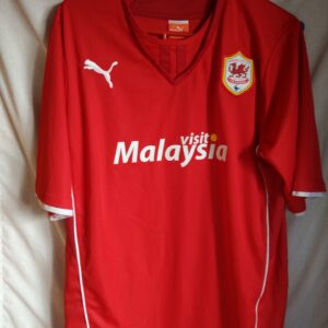 Cardiff City - 10 Fraizer Campbell