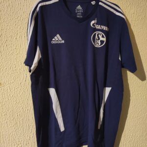 Player Worn paseo - Schalke 04