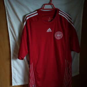 Seleccion de Dinamarca