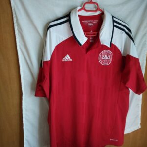 Seleccion de Dinamarca
