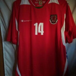 Match Worn - Seleccion de Gales - dorsal 14