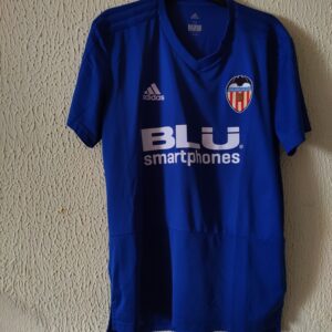Valencia CF - player issue training