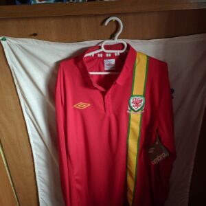 Nueva - Seleccion de Gales