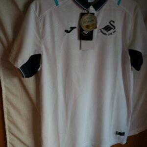 Nueva - Polo del Swansea City