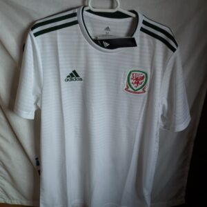 Nueva - Seleccion de Gales
