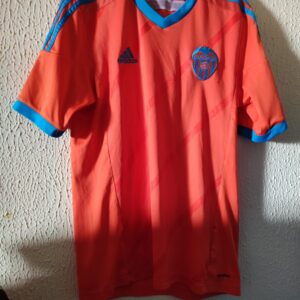 Match Worn - Valencia CF - dorsal 17