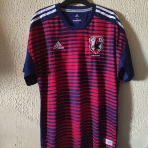 Seleccion de Japon