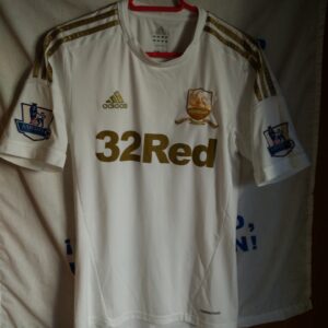 Swansea City - player issue