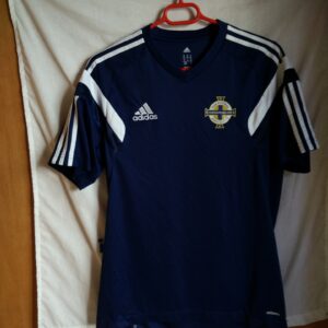 Seleccion de Irlanda del Norte