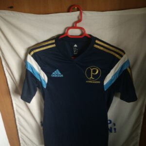 Palmeiras (Brasil)