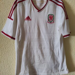 Seleccion de Gales
