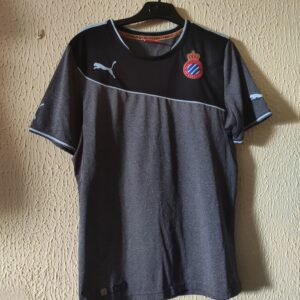 Match Worn (cat. inferiores) - RCD Espanyol - dorsal 10