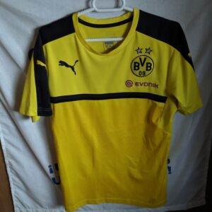Borussia Dortmund