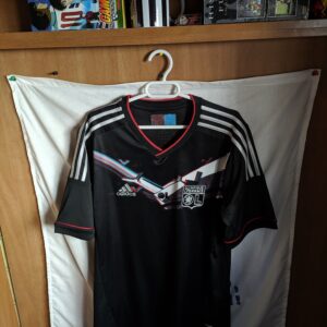 Olympique de Lyon - Lyonnais - version 3D