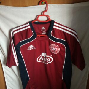 Seleccion de Dinamarca