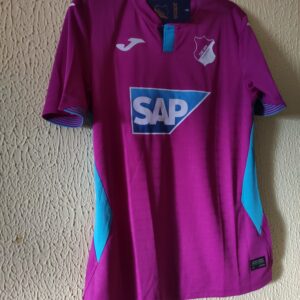 Nueva - TSG Hoffenheim (Alemania)