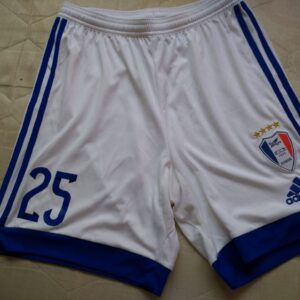 Suwon Samsung Bluewings FC (Corea del Sur - South Korea) - dorsal 25 - match worn