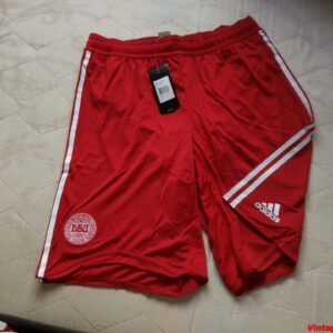Nueva - Seleccion de Dinamarca - player issue