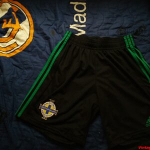 Seleccion de Irlanda del Norte