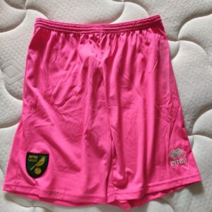 Norwich City - player issue / worn