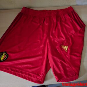 Seleccion de Belgica