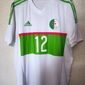 Match Worn vs Guinea - Algeria Argelia - dorsal 12 (Carl Medjani)