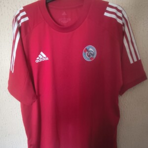 Racing de Estrasburgo - Strasbourg (Francia)
