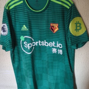 Match Worn - Watford FC - 29 Etienne Capoue